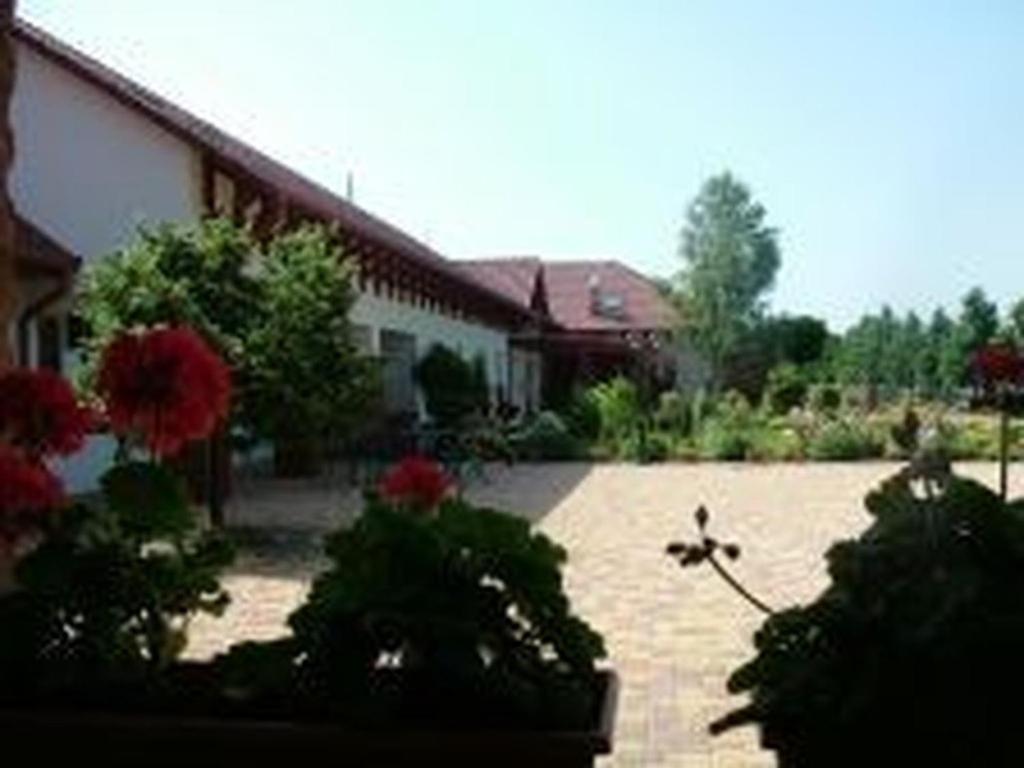 Verba Tanya Bed and Breakfast Kotaj Esterno foto