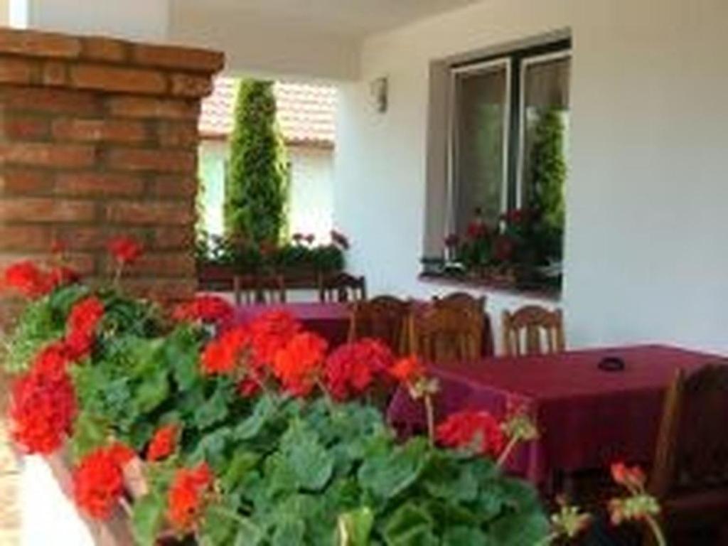 Verba Tanya Bed and Breakfast Kotaj Esterno foto